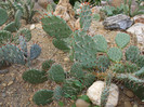 DSCF3145