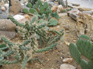DSCF3148