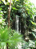 cascada din jungla amazoniana