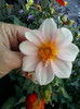 1 oct 2012-flori 003