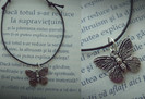 butterfly1