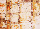 Wall1