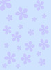 FiveFlower