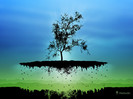 vladstudio_aflyingtree2_1024x768_signed