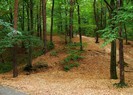 PadureaParcTrivale_1-m