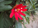 DSC00878