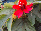 DSC00881