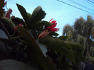 DSC00884