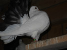 Picture 1588