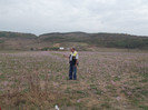 Picture 5222
