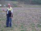 Picture 5223