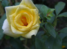 P1017676