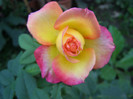 P1017672