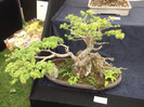 DSCF3764