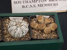 DSCF3774