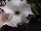 P250912_23.35_[03]