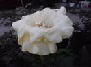 P260912_21.48_[01]