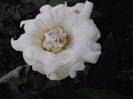 P260912_21.48_[02]