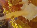 P280912_06.49_[01]