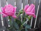 P240912_21.44_[02]