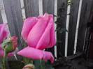 P240912_21.44_[03]