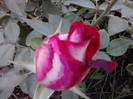 P240912_21.44_[05]
