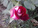 P240912_21.44_[06]