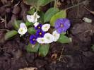 P240912_21.51_[03]