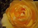 P260912_05.49_[01]