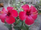 P260912_21.45_[01]