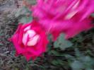 P280912_21.25_[05]