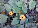 P240912_21.53_[01]