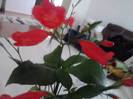 P260912_00.18_[02]