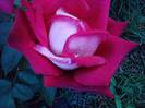 P280912_21.25_[03]