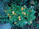 P280912_21.26_[03]