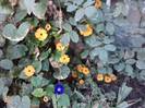 P280912_21.26_[04]