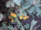 P280912_21.26_[05]