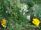 DSC08635