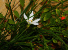 DSCN8266