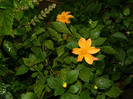 DSCN8269