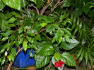 DSCN8277