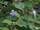 DSCN8292