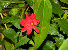 DSCN8306