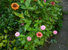 DSCN8312