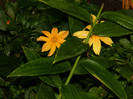 DSCN8313