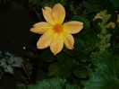 DSCN8314