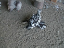 Picture 5349
