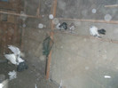 Picture 5353