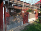 Picture 5366