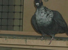 Picture 5372